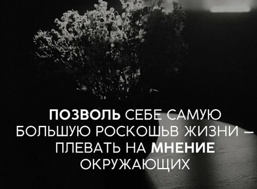 Хрен положенный на мнение окружающих. Цитаты про мнение. Мнение окружающих цитаты. Мнение окружающих цитаты. Мнение окружающих цитаты.