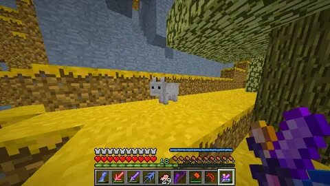 Divine 1.16 5
