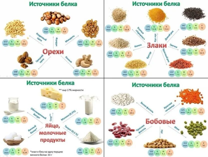 Белки для набора. Источник белков в продуктах. Лучшие источники белка. В каких продуктах содержится белок. Белки в каких продуктах.