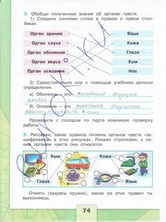 Окружающий мир страница 74 номер 3