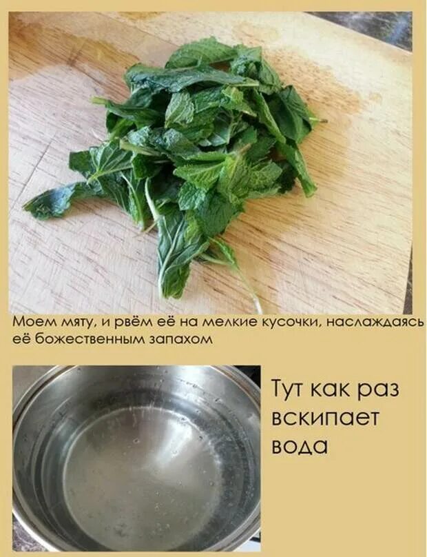 Нужно ли мыть листья перед сушкой