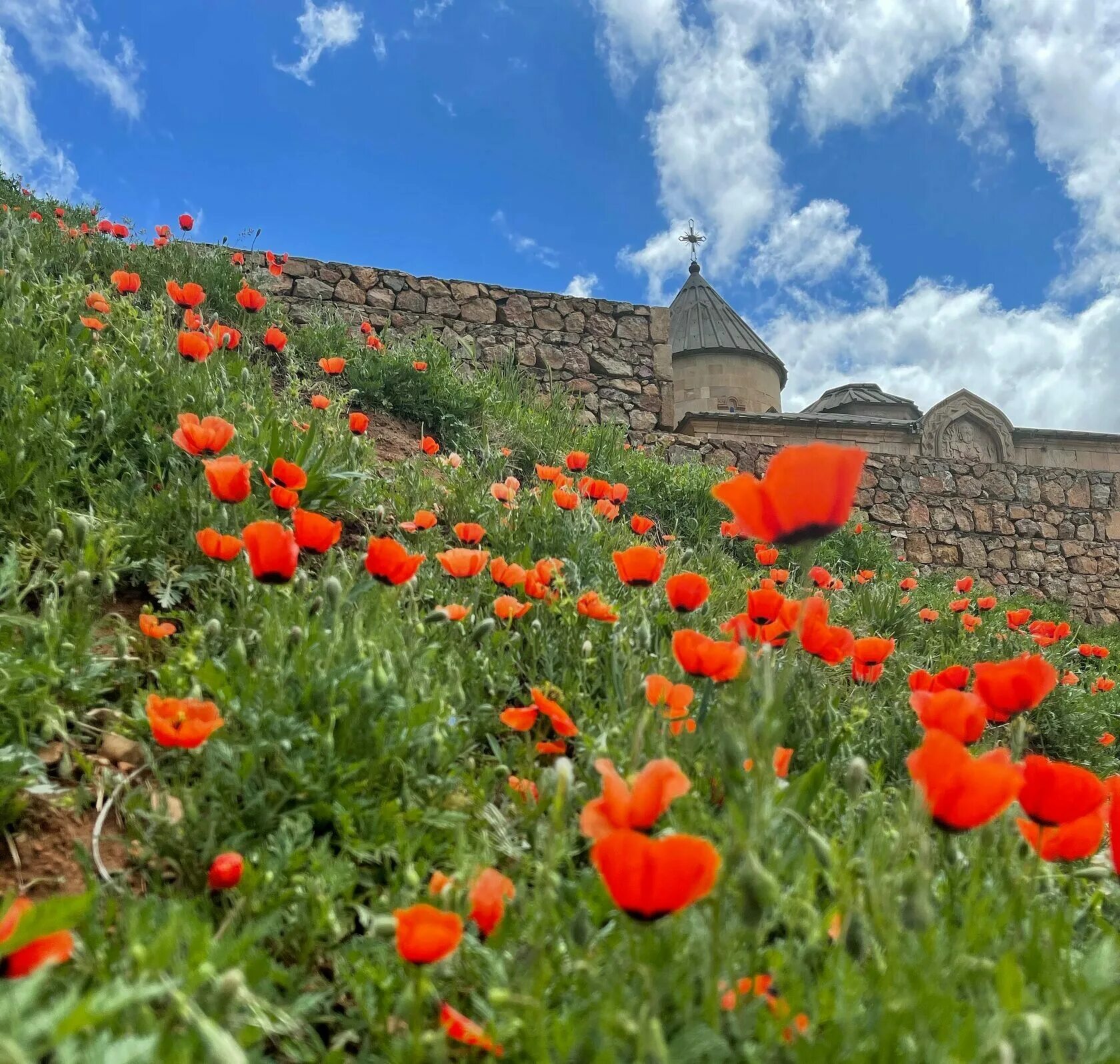 Татев горы. Армения горные луга. Армения гора арарат маковое поле. Татев (село). Озеро севан армения.