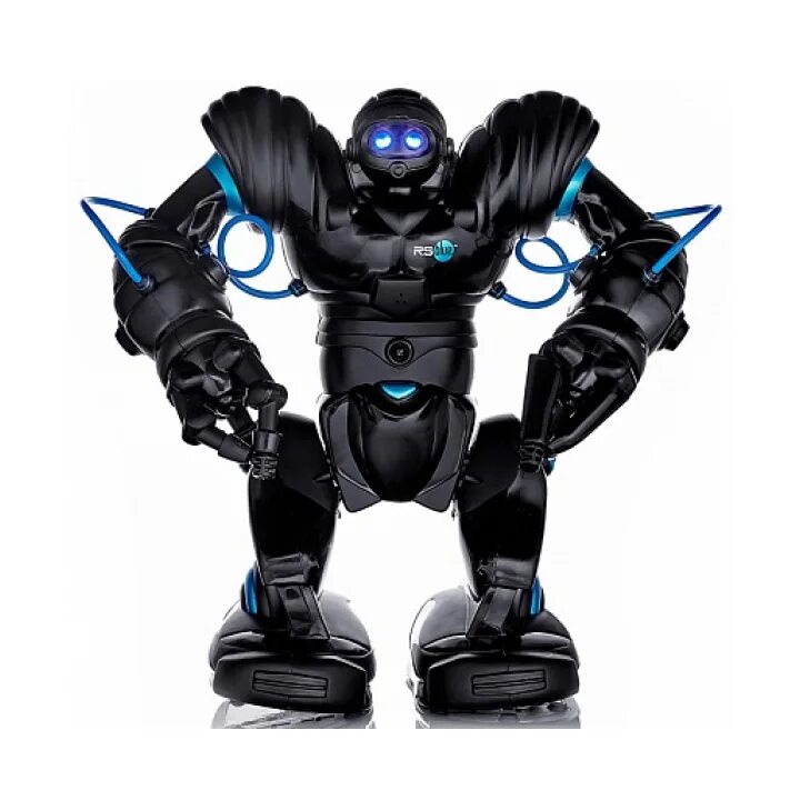 Какие роботы игрушки. Робот WOWWEE Robosapien. Робот WOWWEE Robosapien 2. Робот игрушка Робосапиен WOWWEE. Робот WOWWEE Robosapien 8006.