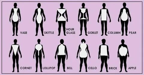 Shape type
