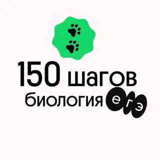 Первые шаги в химию