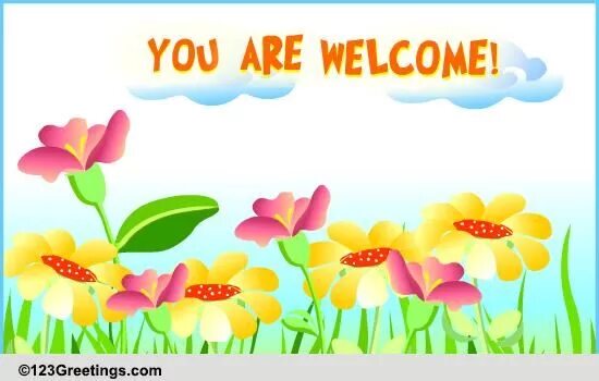 You are welcome картинки. стикер you are welcome. You are most welcome. You are welcome. Always welcome.