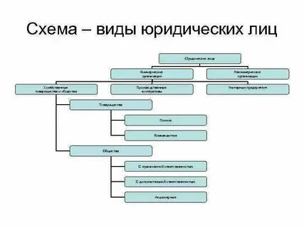 Органы юр лица ответственность