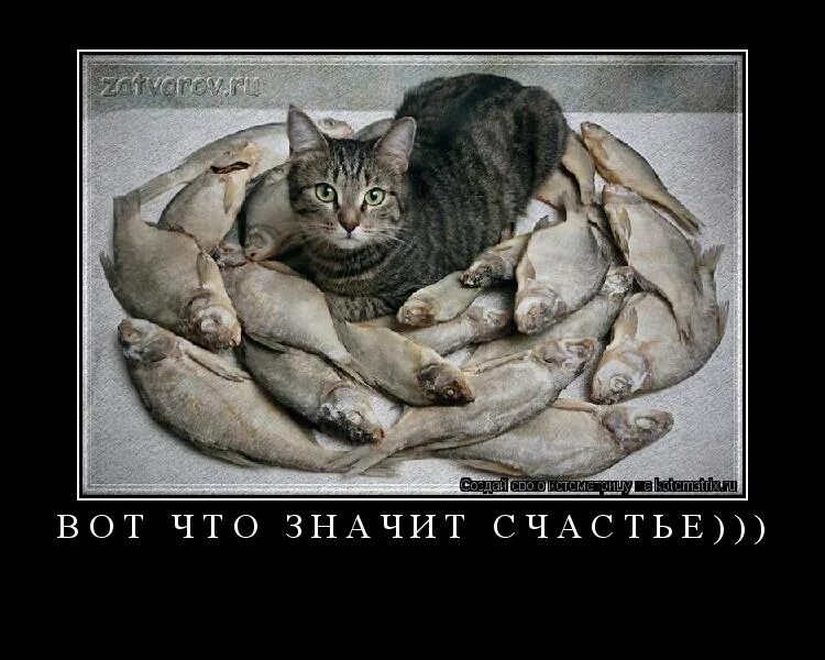 Дарить себя не значит. Человек который тебя любит. Что значит быть рядом человеком. Место женщины рядом с мужчиной. Картинки давай будем вместе.