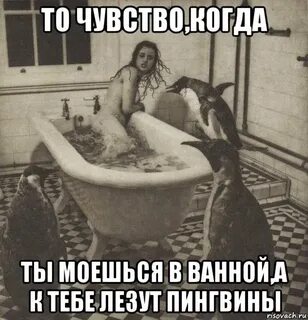 Если парень зовет гулять