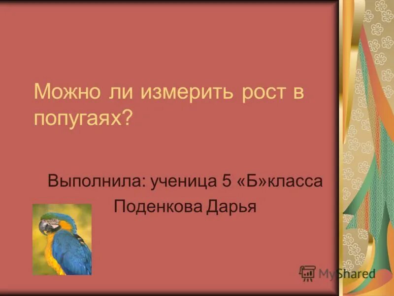 Можно ли мерить на озоне. Измерять в попугаях. Рост измеряется в попугаях?. Презентация 38 попугаев или как измерить свой рост. Рост попугая.