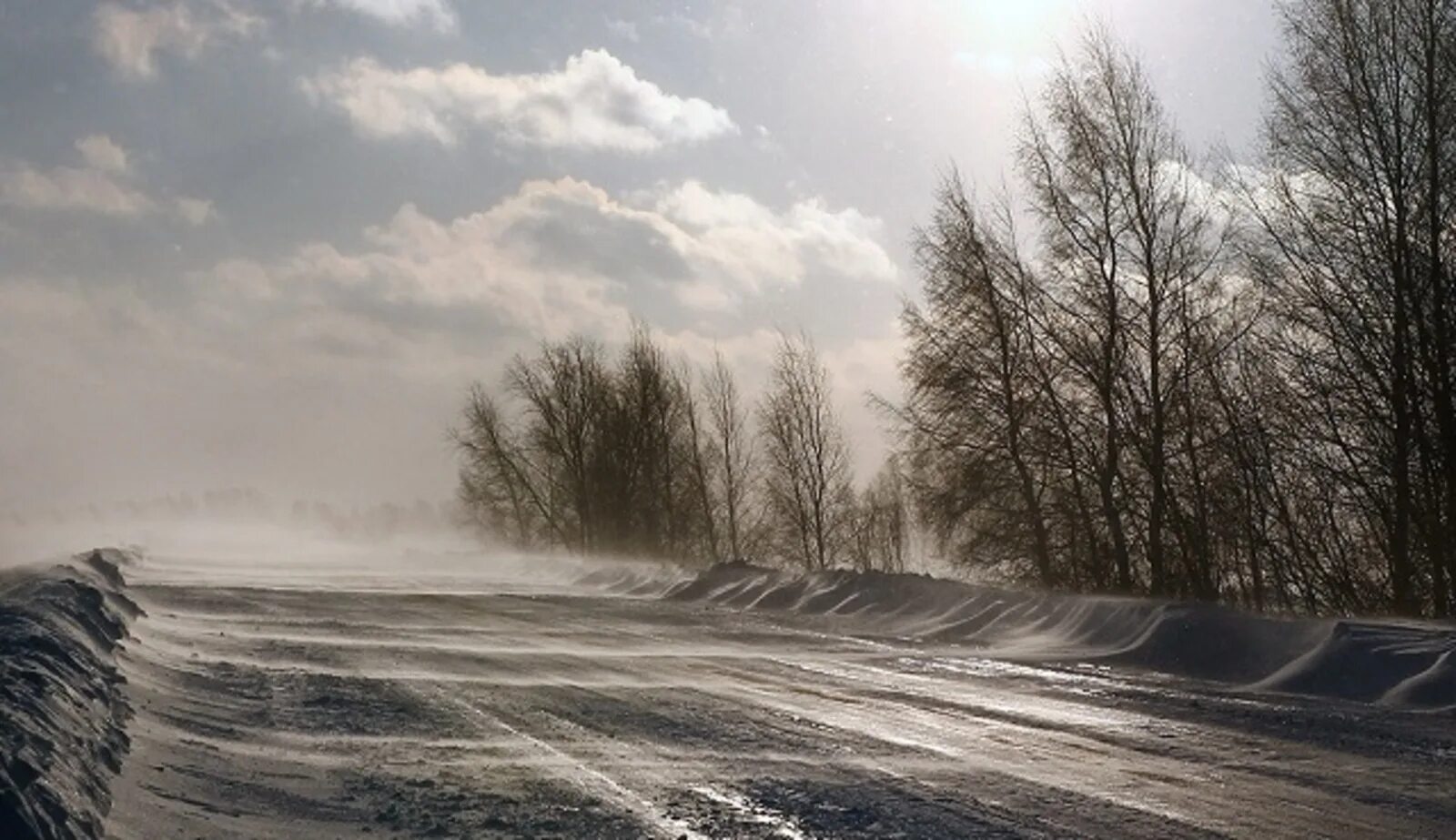 Зимний ветер. Поземка. Непогода зимой. Морозный ветер.