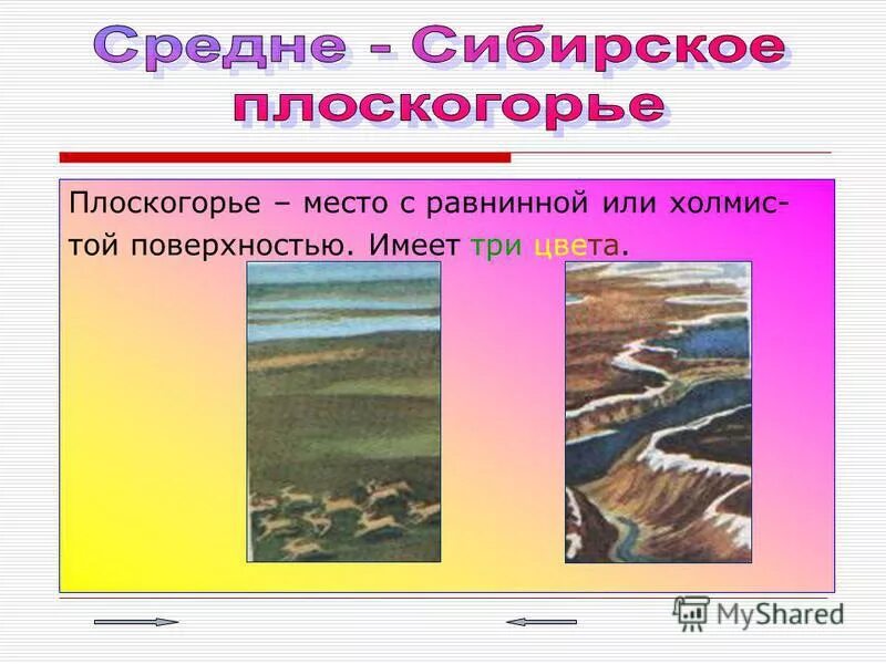 Погода в среднесибирском. Среднесибирское плоскогорье типы почв.