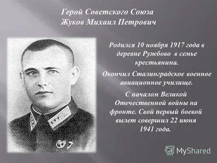 Союз жуковых