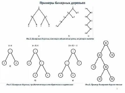 Правило умножения бинарного дерева