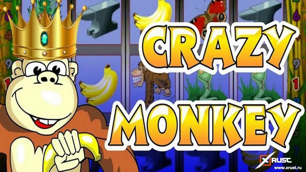 Crazy monkey slot ru4