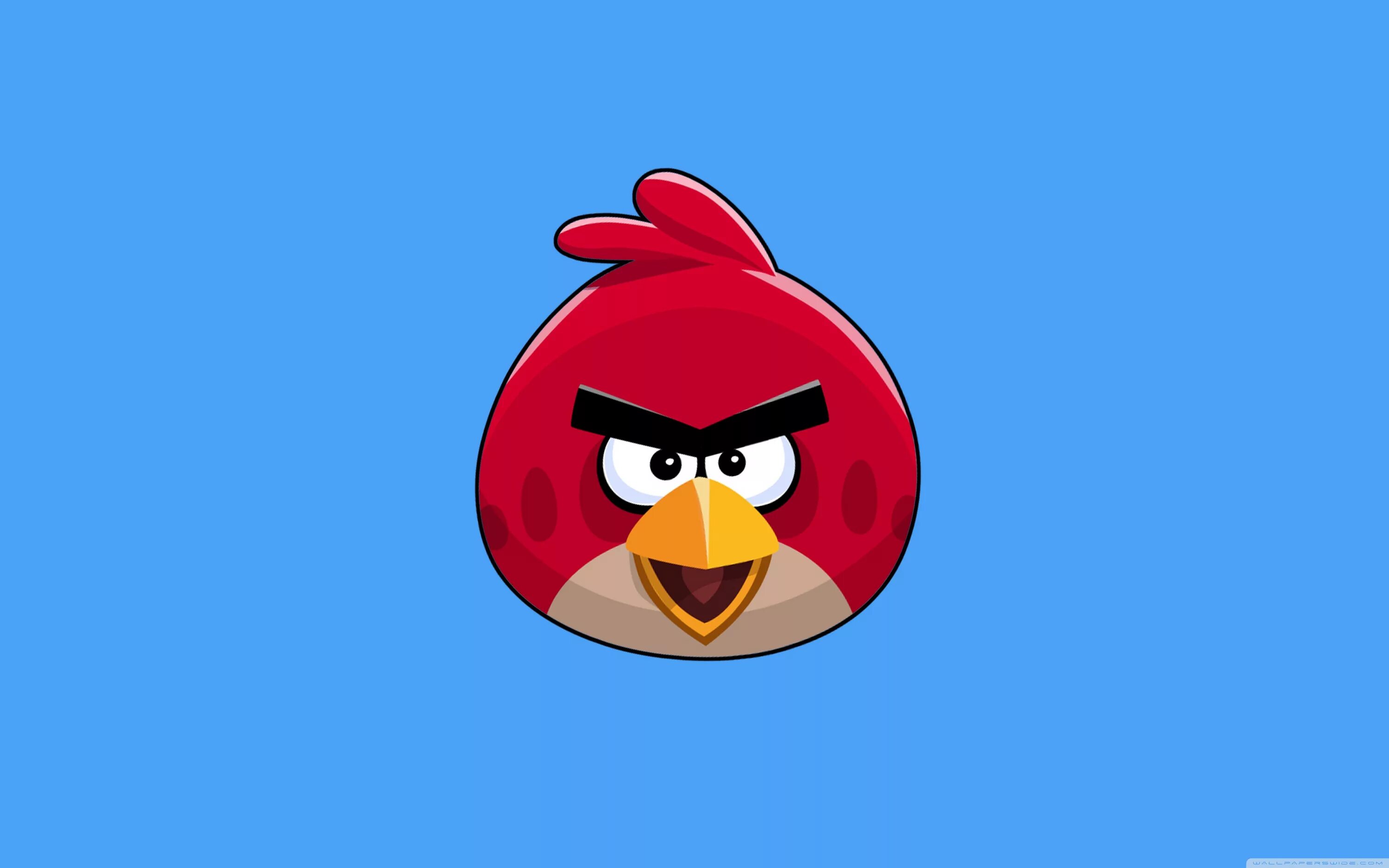 Красная птица из angry birds. Энгри бердс красный злой. Энгри бердз красная птица. Ангри бердс красная птица. Ред энгри бердз.