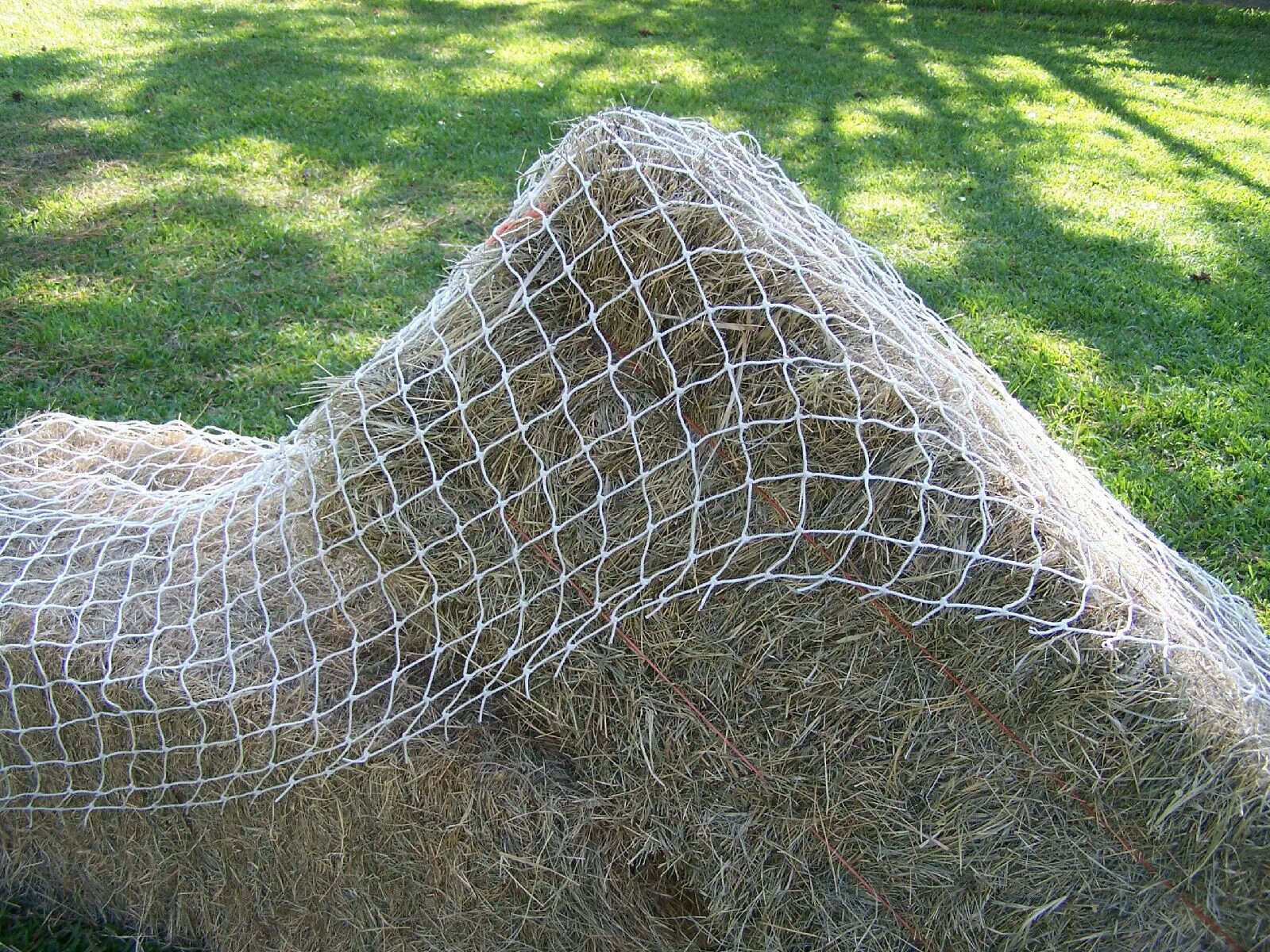 Squaring net