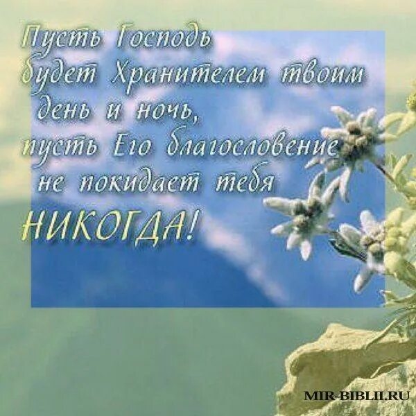 Божьи пожелания на день. Открытки с Божьим благословением. День благословения открытки. Божьей благодати пожелания. Желаю Божьего благословения и благодати.