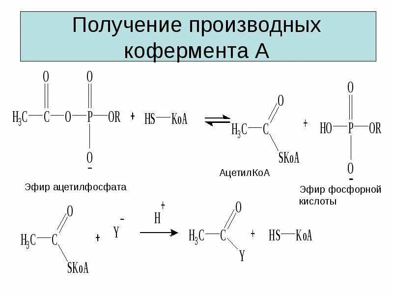 Сложные эфиры фосфорной кислоты. Получение производных. Производные фосфорной кислоты. Образование эфиров фосфорной кислоты.