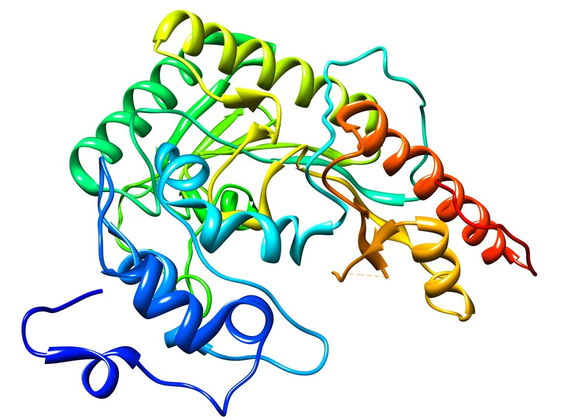 Creatine kinase (CK). Креатинфосфокиназа это фермент. Креатинкиназа структура белка. Киназы биохимия. Токсичный белок