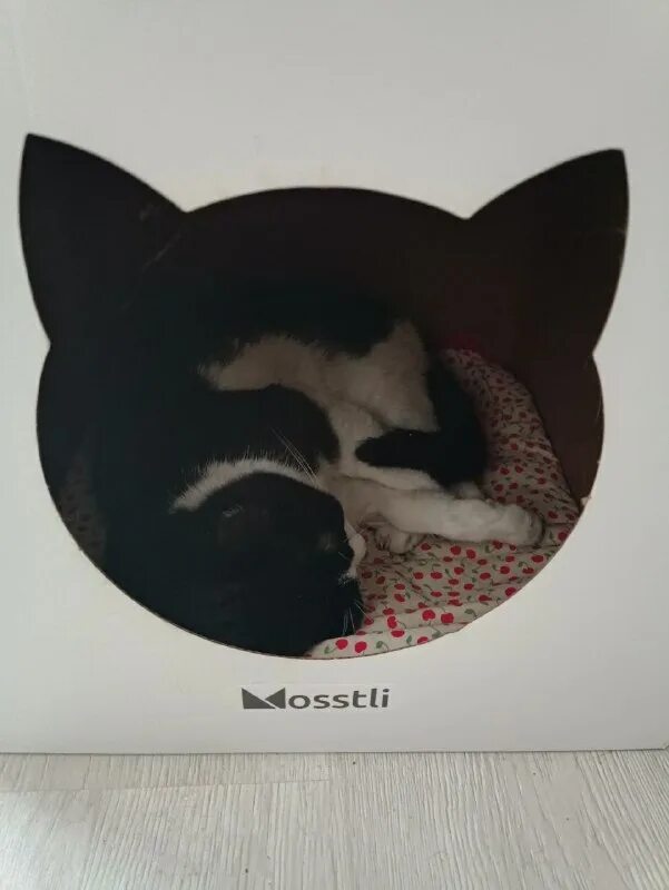 холодно опять солли