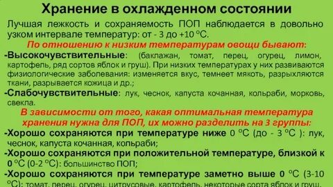 Хранить овощи сложное слово существительное