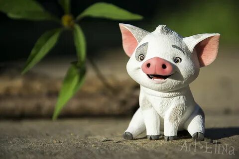 Pua