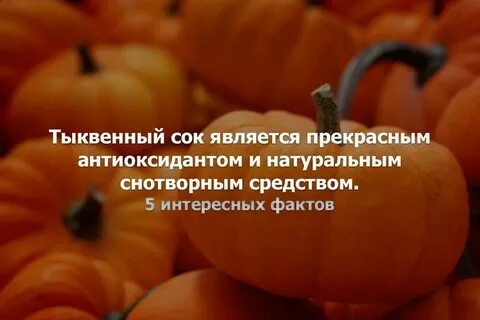 Интересные факты о тыкве