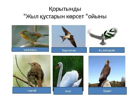 Шұлықтағы егде жастағы әйелдердің порнофотосуреттері