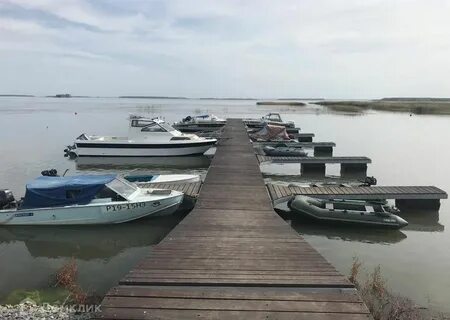 Погода пичуги ордынский