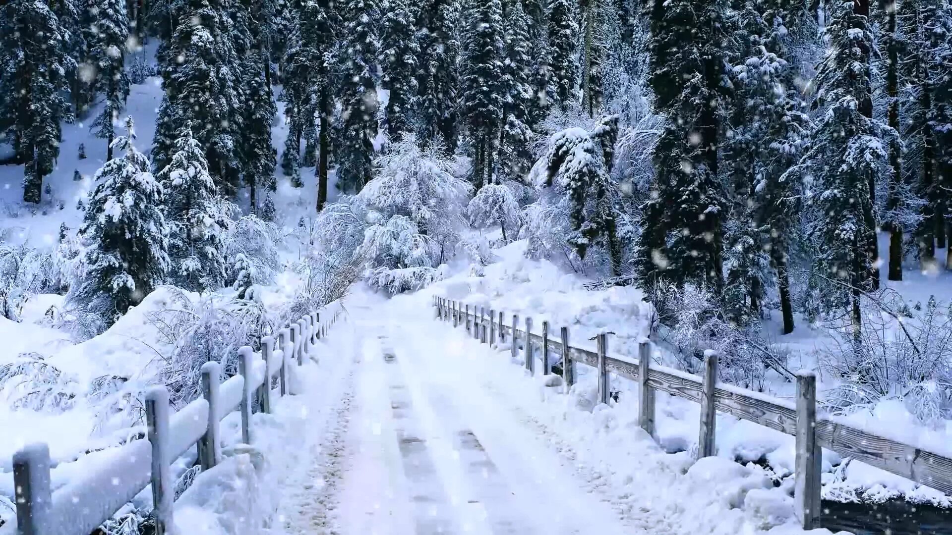 Snowy time