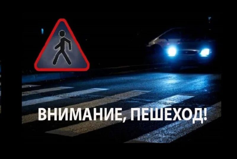 Предупреждение наездов. Предупреждение наездов