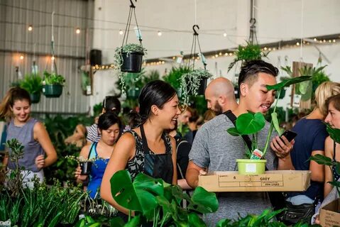 Plant sales