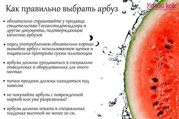 Как правильно есть арбуз до или. Как правильно выбрать арбуз. выбираем арбузики правильно. выбор арбуза в картинках.