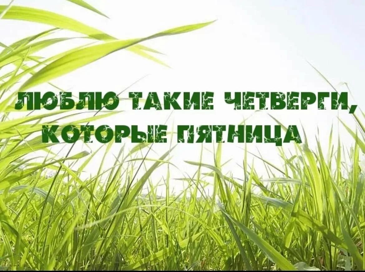Четверг 10 утра. Природа четверг. Четверг это маленькая пятница. Четверг маленькая пятница приколы. Четверг картинки прикольные.
