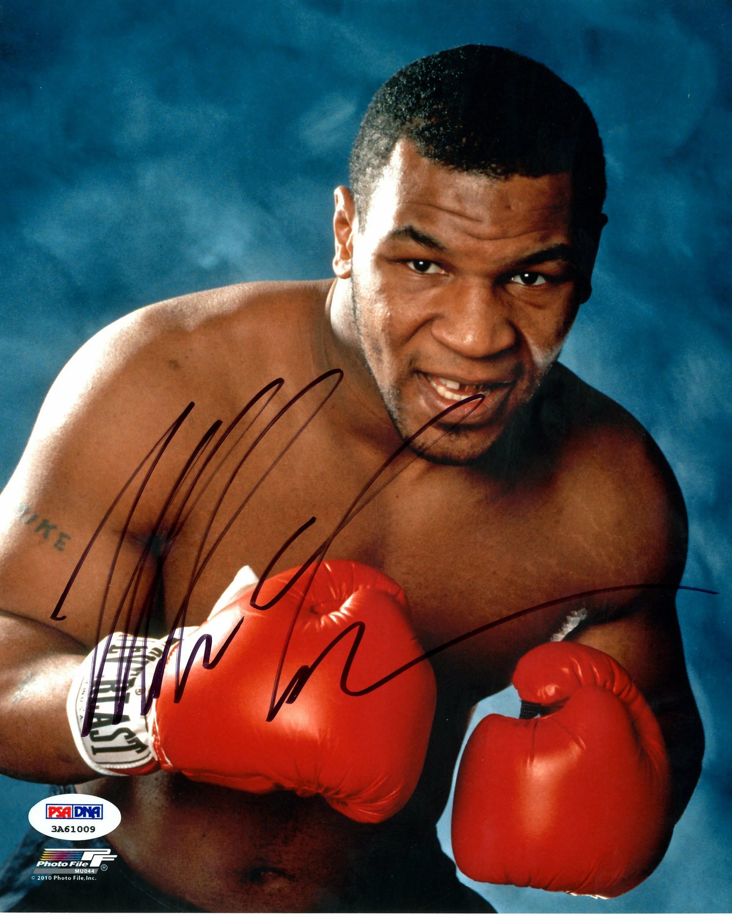 Боксер тайсон. Тайсон. mike tyson. майк тайсон бокс. майк тайсон фото.