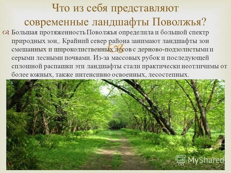 природные зоны поволжья карта. физическая карта поволжья россии. почвы лесостепи. почва лесной зоны поволжья. типы почв поволжья.