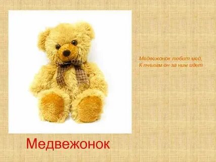 Моя любимая игрушка мишка