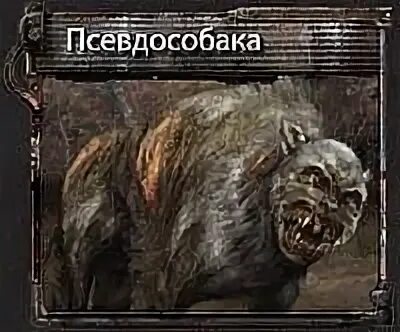 Хвост псевдособаки в сталкере тень чернобыля