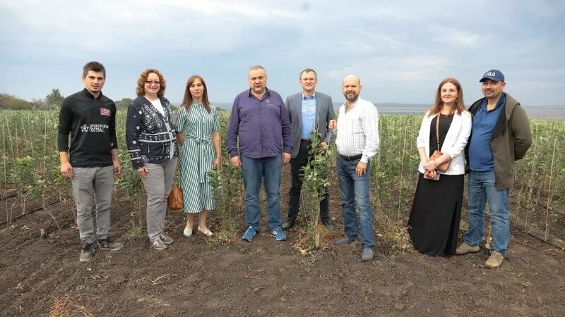 Валик с травами. Парк садовники нагатино-садовники. Парк садовники нагатино-садовники. Сухоцветы симферополь. Валик травяной для спины отзывы.