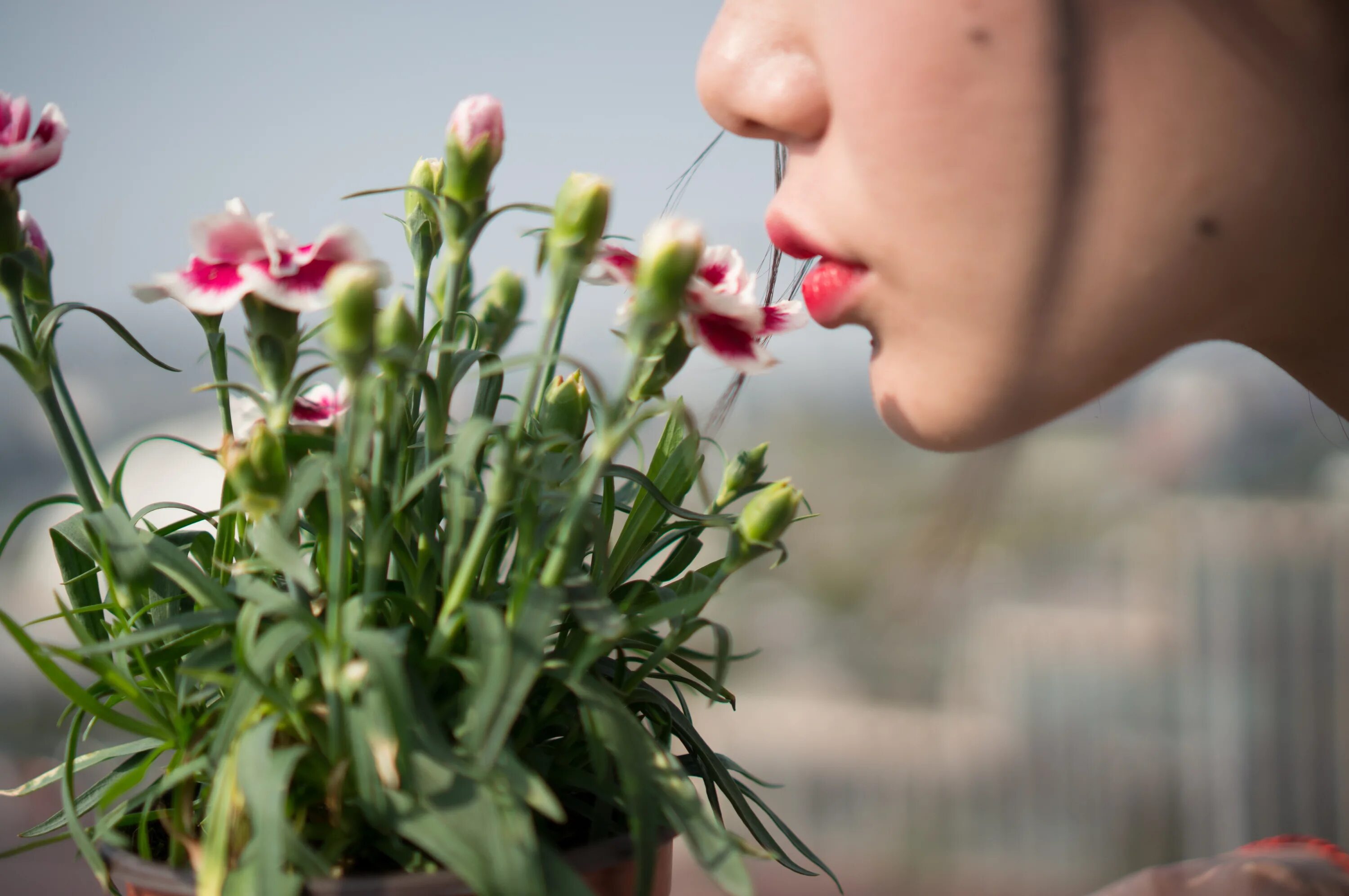 В воздухе пахнет травой. Человек цветок. Цветы для женщины. Цветочный запах. Женщина растение.