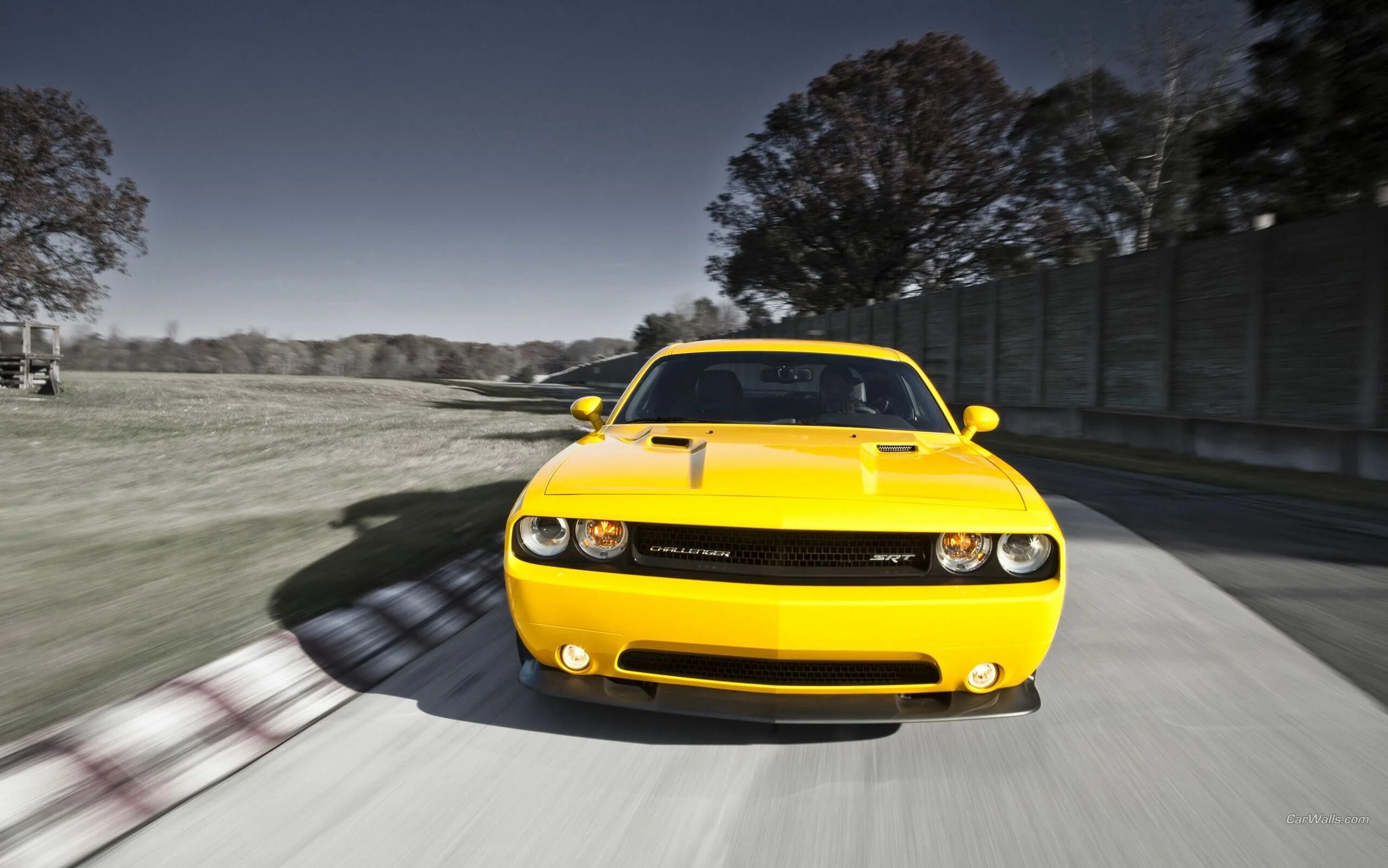 Как играть в желтую машину. Dodge Challenger srt8 392. Dodge Challenger 392. Dodge Challenger srt8. Додж Челленджер СРТ желтый.