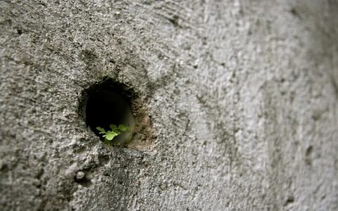 Hole life