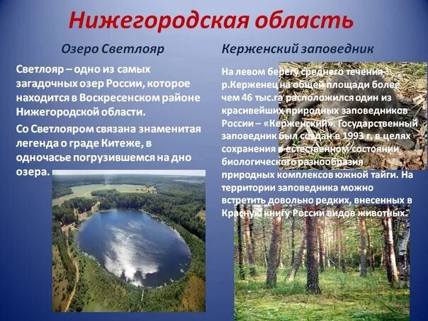 Водные богатства нижегородской области. Керженский заповедник Нижегородской области. Озеро Светлояр Керженский заповедник Нижегородской области кратко. Керженский заповедник презентация. Заказники Нижегородской области.