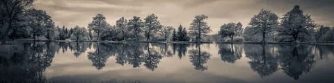 Природа в отражении искусства
