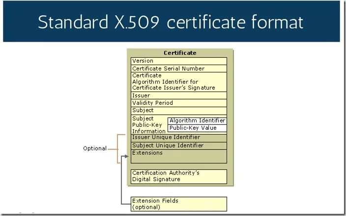 X509 certificate signed by unknown authority docker. X509 certificate example. x.509 стандарт. x.509 сертификат.