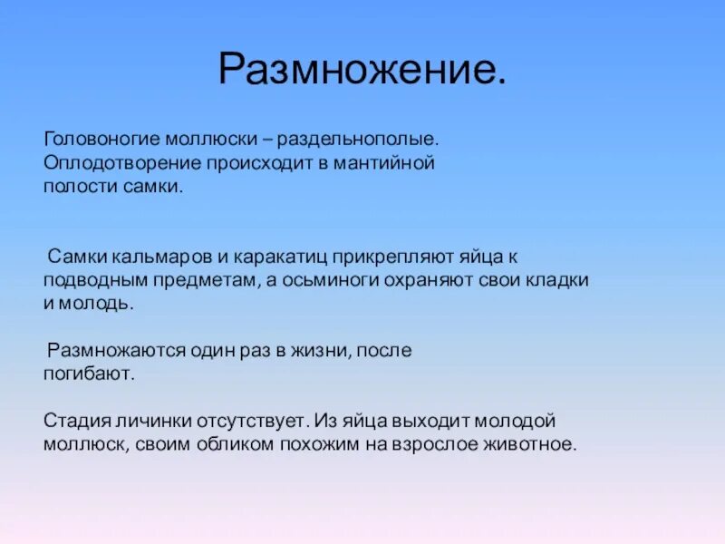 Способы размножения моллюсков. Размножениеголовоногих м. Размножение головоногих. Головоногие моллюски размножение. Размножение и развитие головоногих моллюсков.