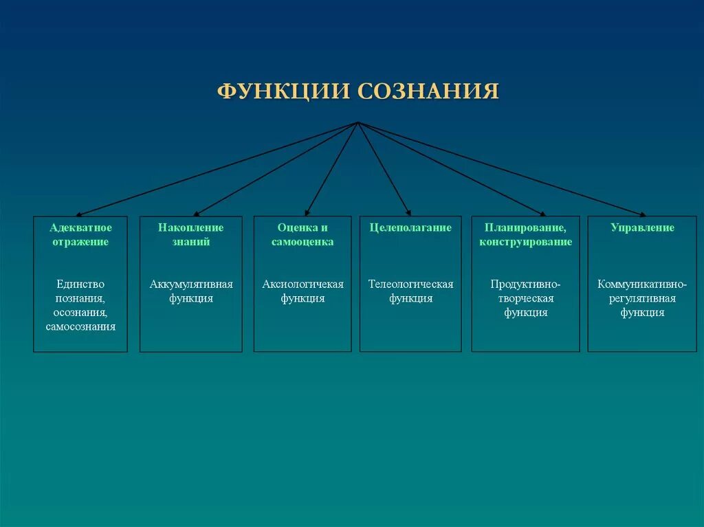 Сознание выполняет функции. Перечислите основные функции сознания. Познавательная функция сознания пример. К основным функциям сознания относятся. Функции сознания человека в психологии.