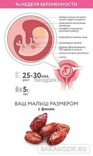 9 недель беременности что происходит