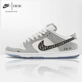 Dunk dior